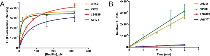 FIG 2 