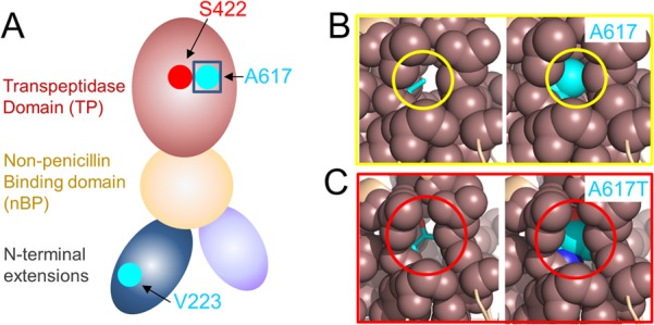 FIG 6 