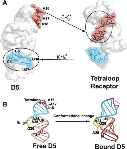 FIGURE 9.