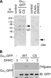 FIG. 3.