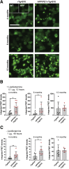 Figure 3