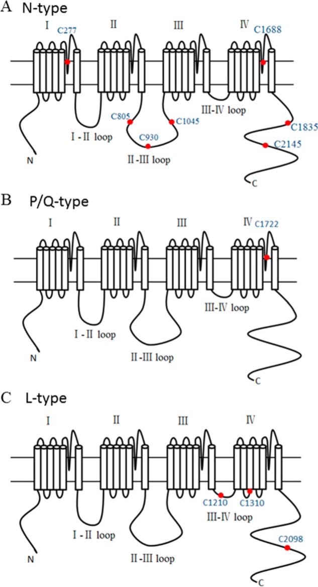 FIGURE 6.