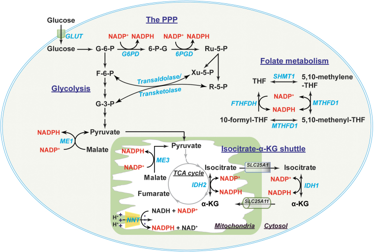 FIG. 4.