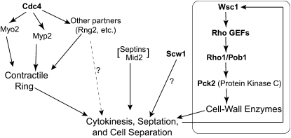 Figure 7.—