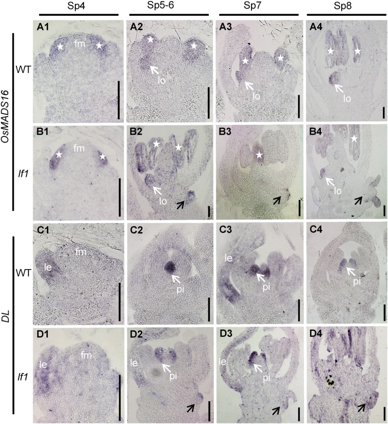 Fig. S3.