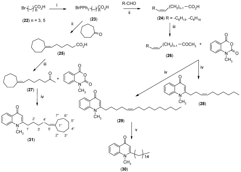 Scheme 3