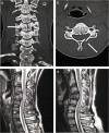 Fig. 8