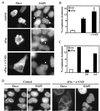 FIG. 8