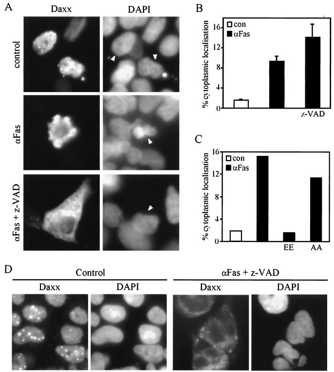 FIG. 8