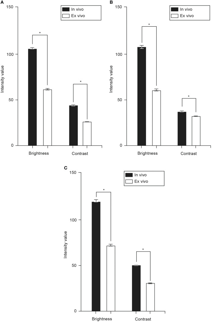 Figure 6