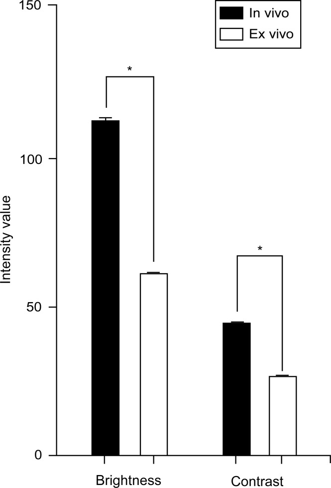 Figure 1