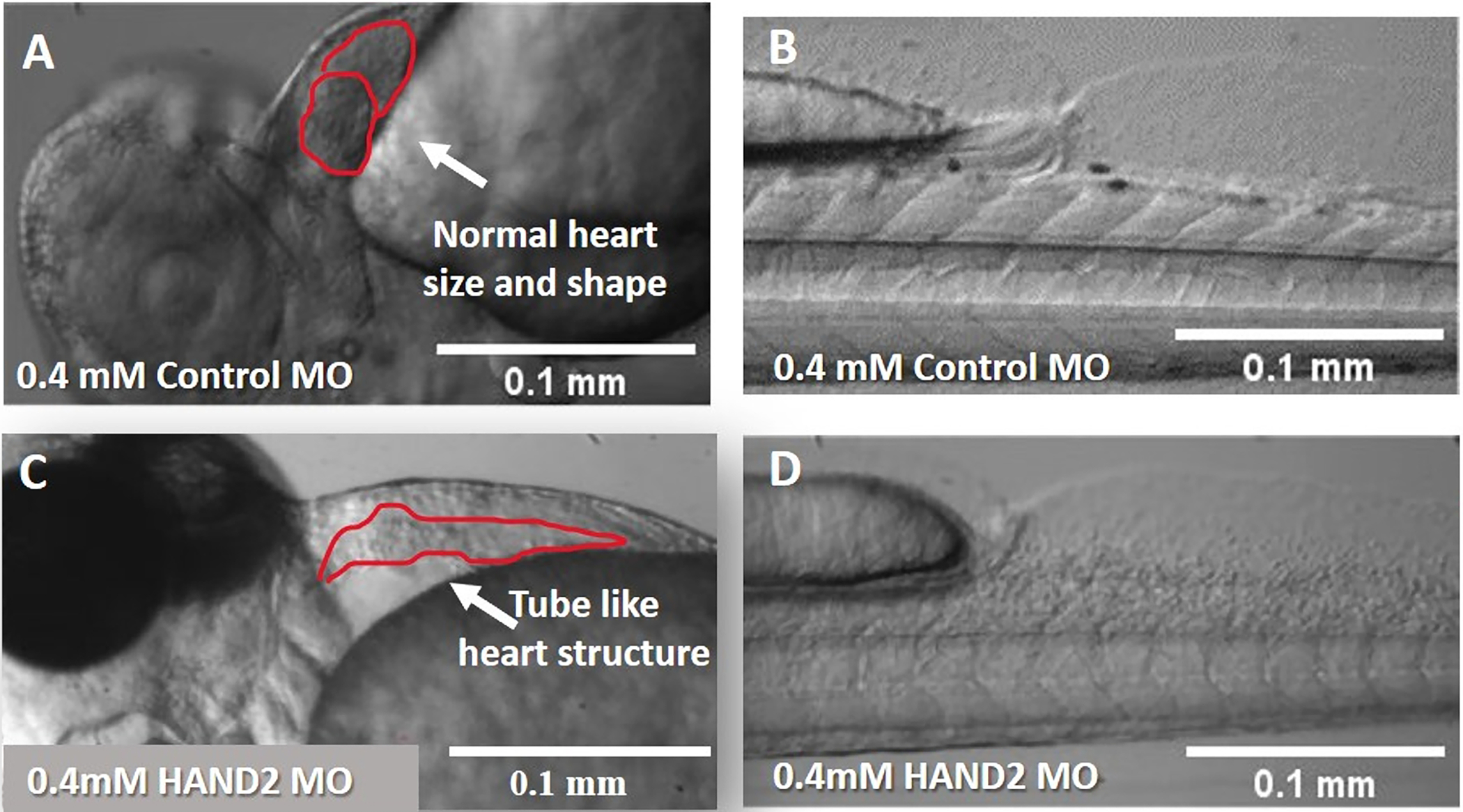 Figure 7: