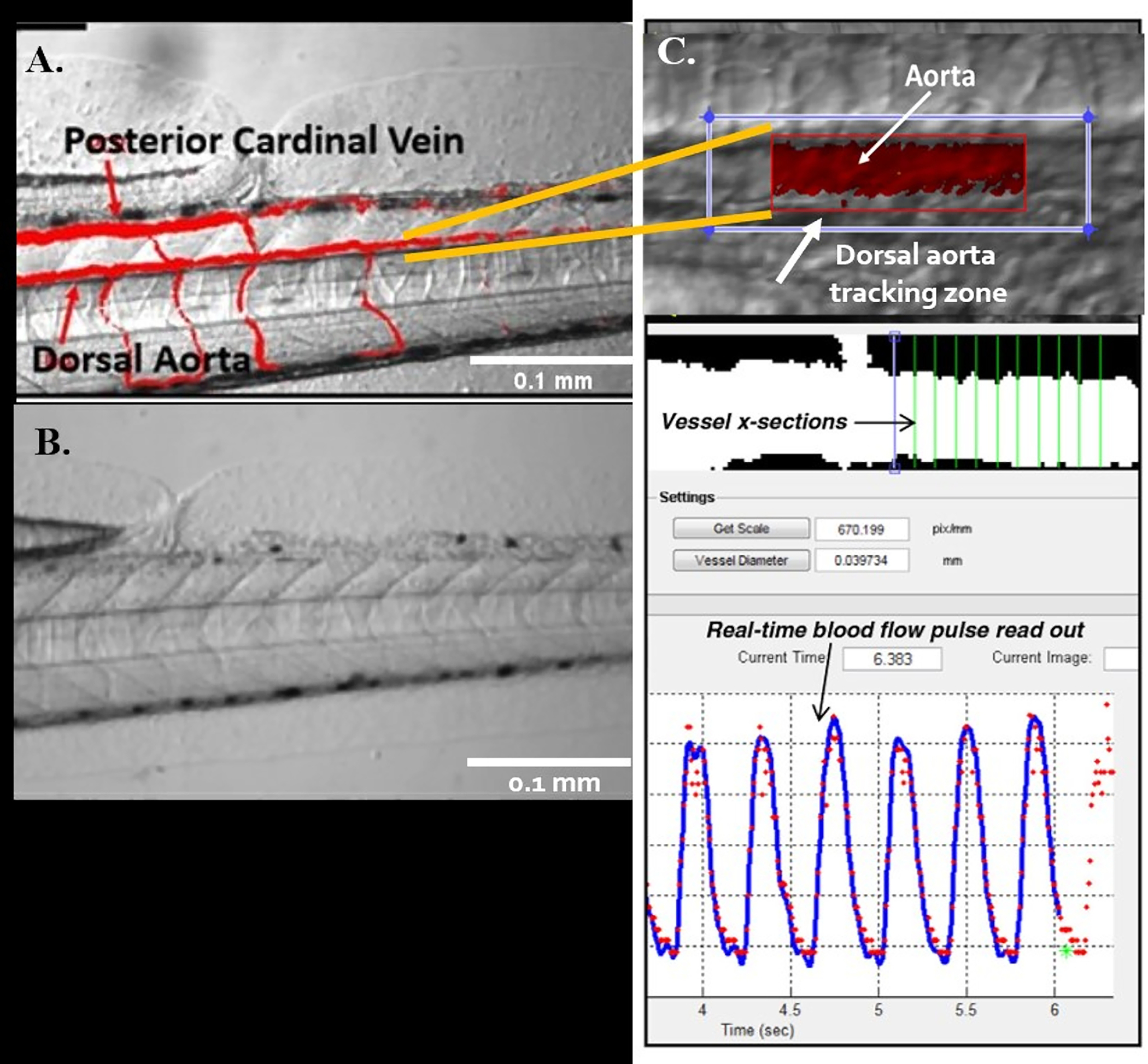 Figure 5: