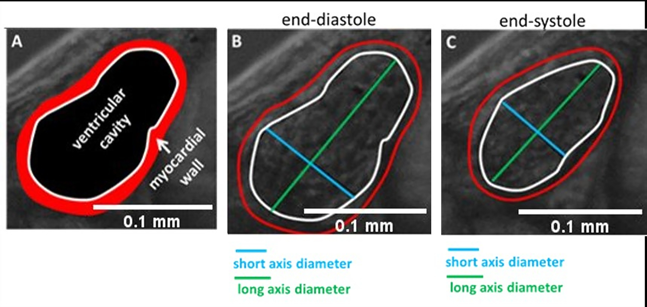 Figure 4: