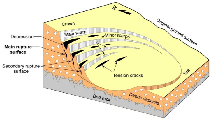 Fig. 6