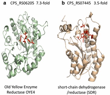 Fig. 6