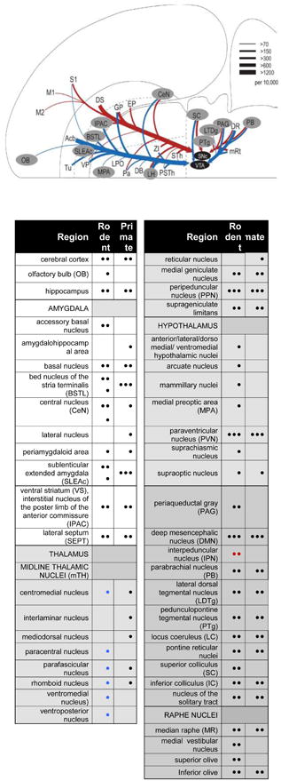 graphic file with name nihms966484u1.jpg