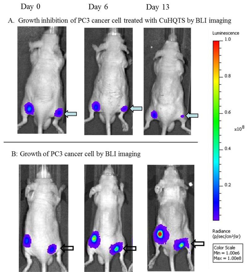 Figure 4: