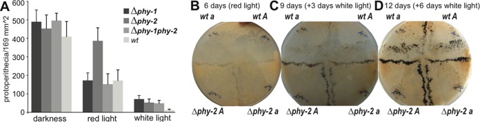 FIG 3 