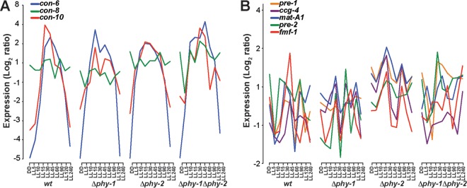 FIG 2 