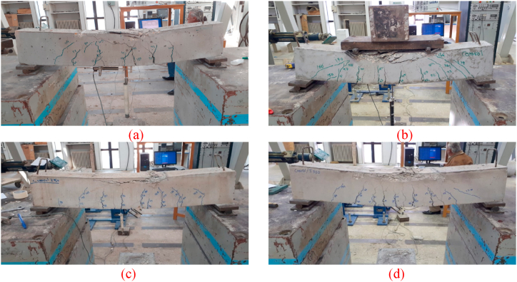 Fig. 10