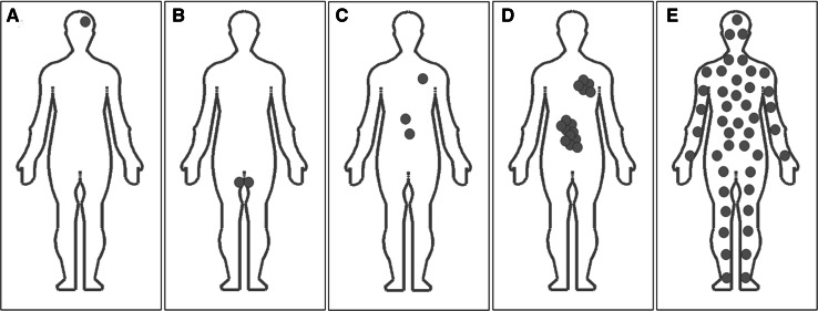 Fig. 1