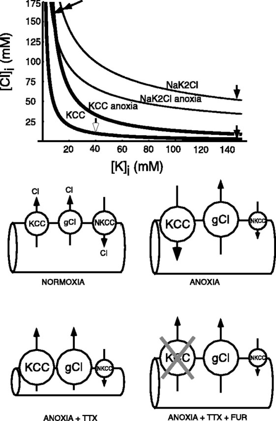 Fig. 12.