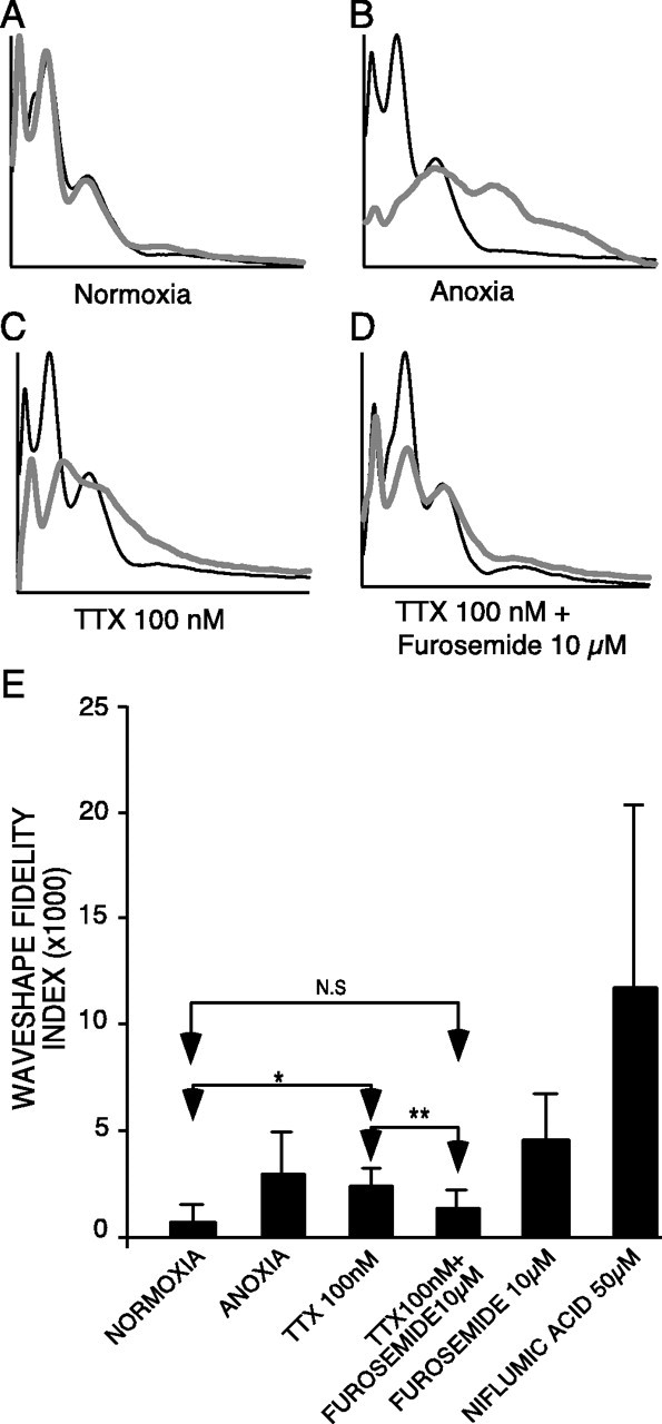 Fig. 10.