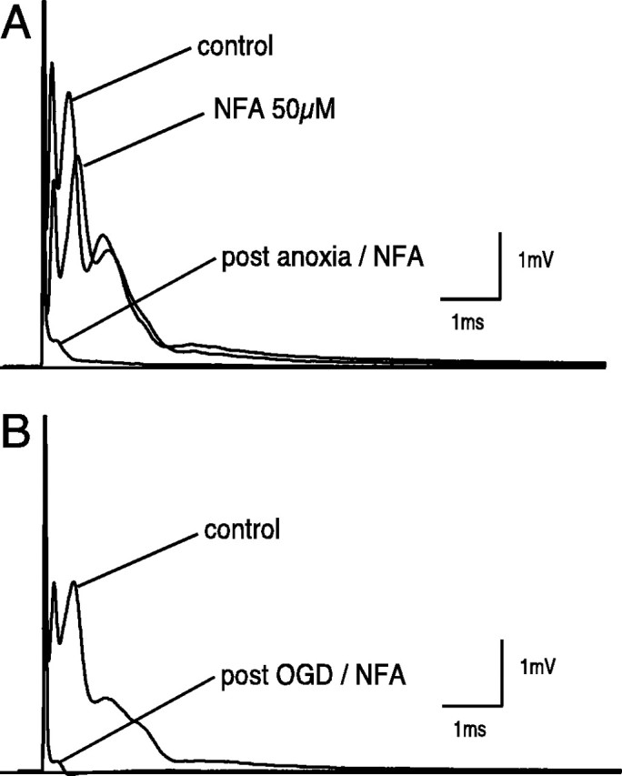 Fig. 8.