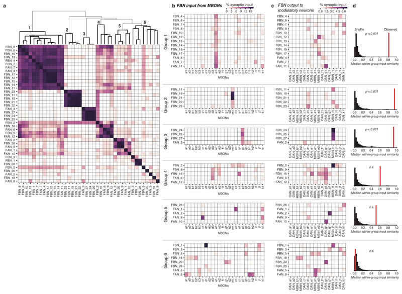 Extended Data Fig. 6