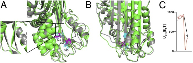 Fig. 5.