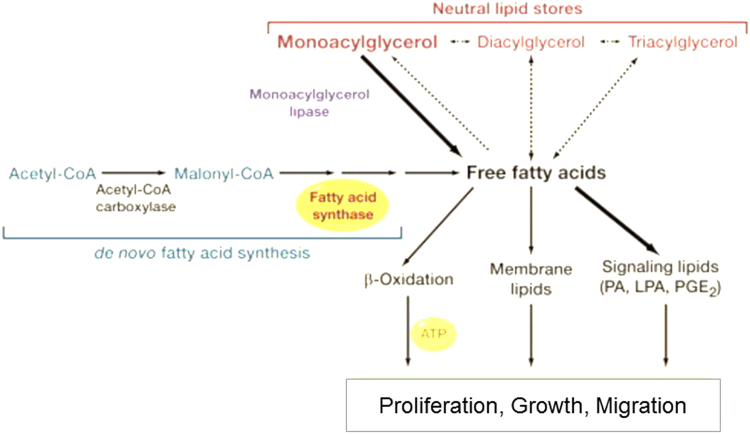 Fig. 12.