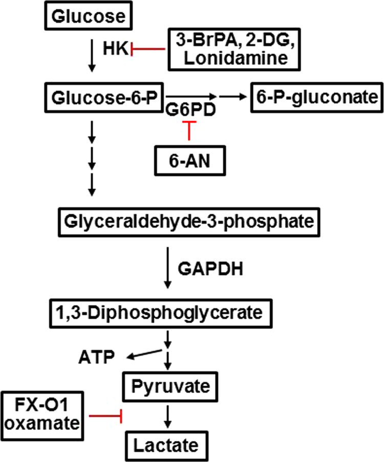 Fig. 13.