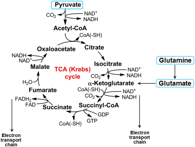 Fig. 8.