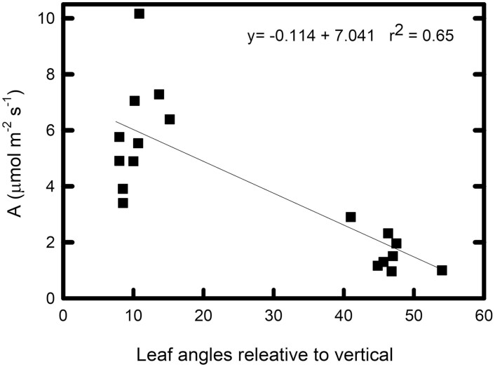 Fig. 5.