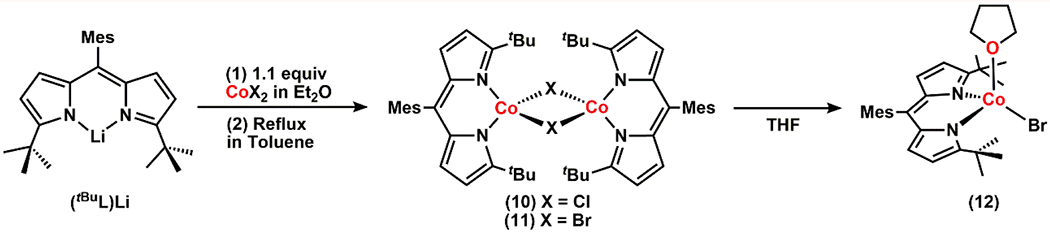 Scheme 4.