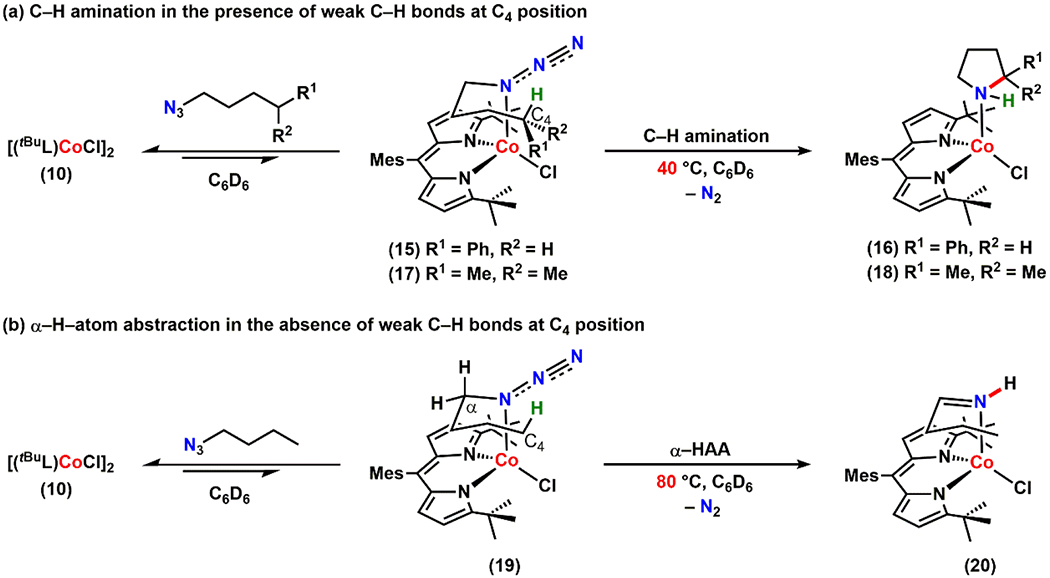 Scheme 6.