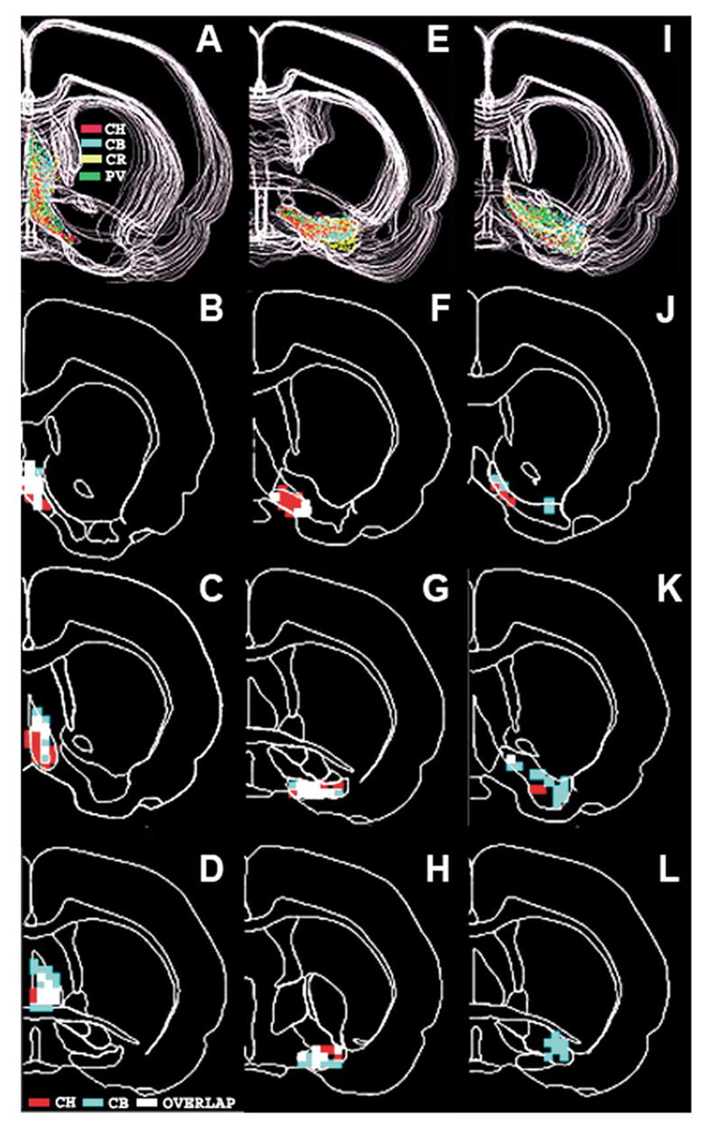 Fig. 8