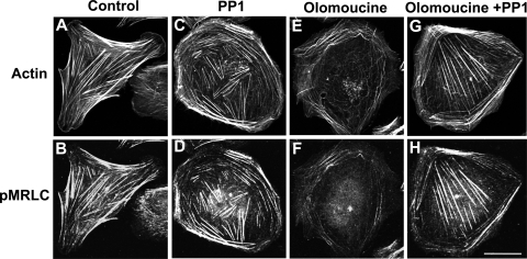 FIG. 9.