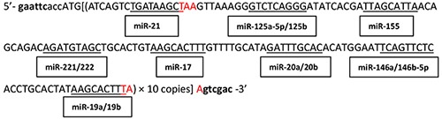 graphic file with name oncotarget-07-49143-g006.jpg