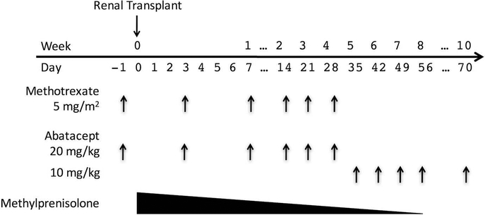 Figure 1: