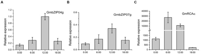 FIGURE 10