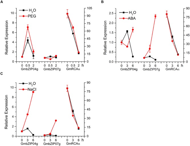 FIGURE 9