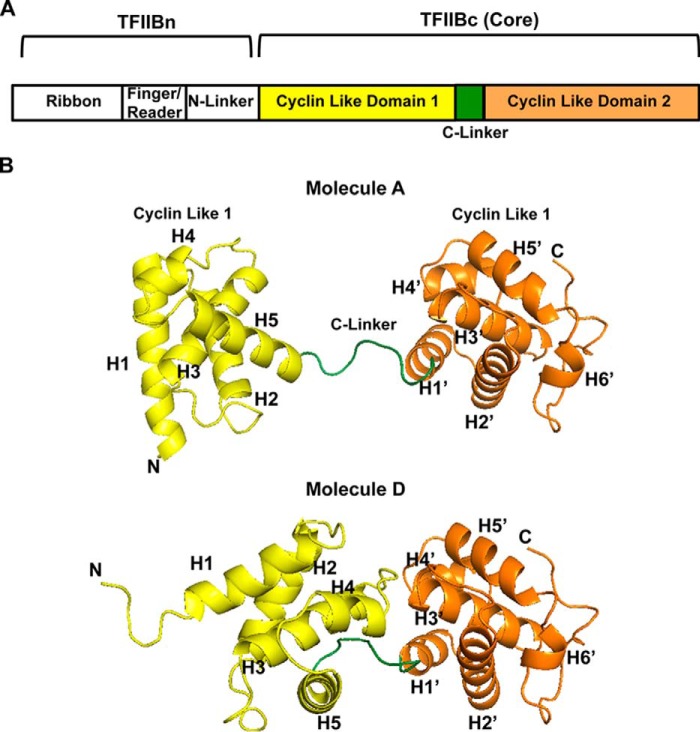 Figure 1.