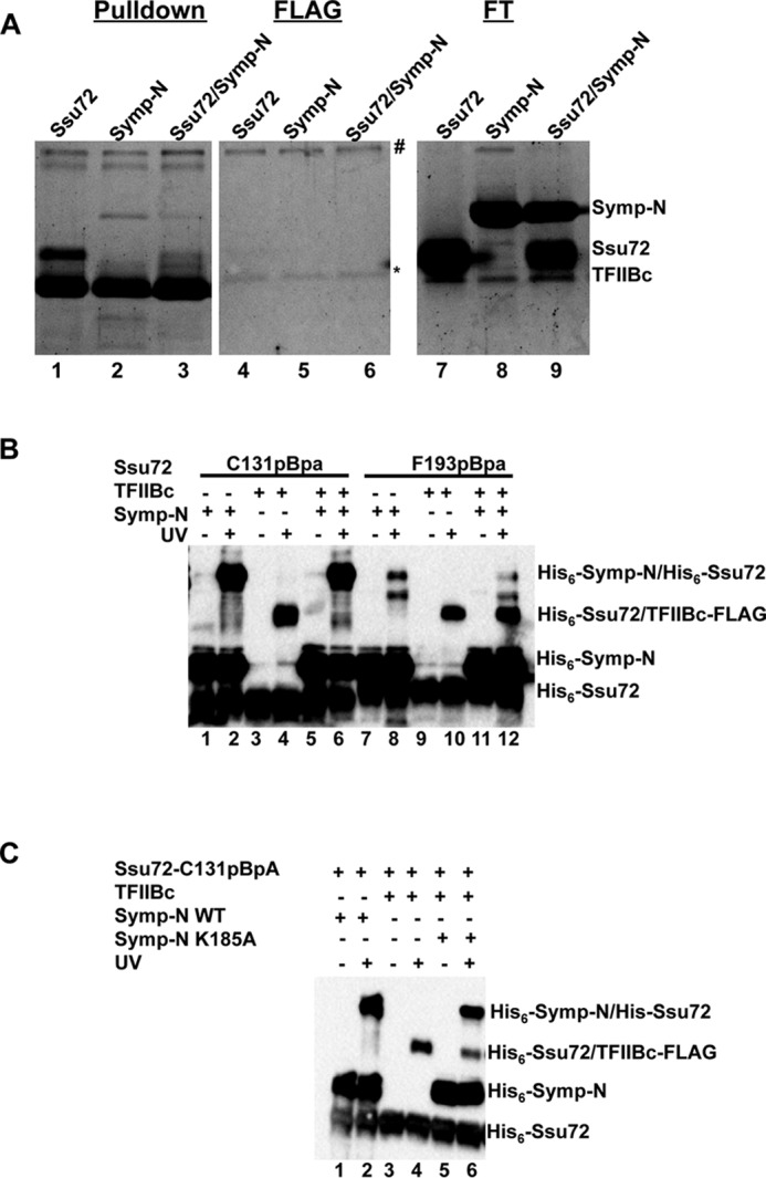 Figure 5.