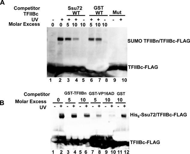 Figure 6.