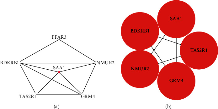 Figure 5