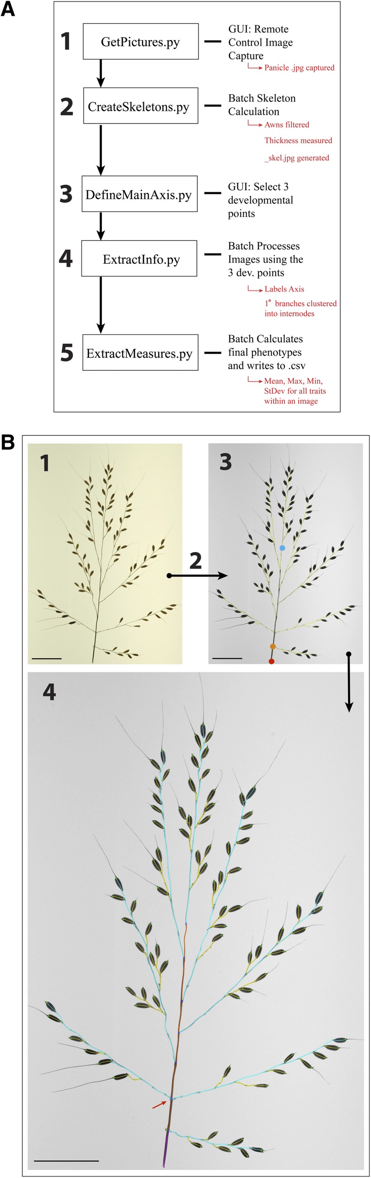 Figure 2.