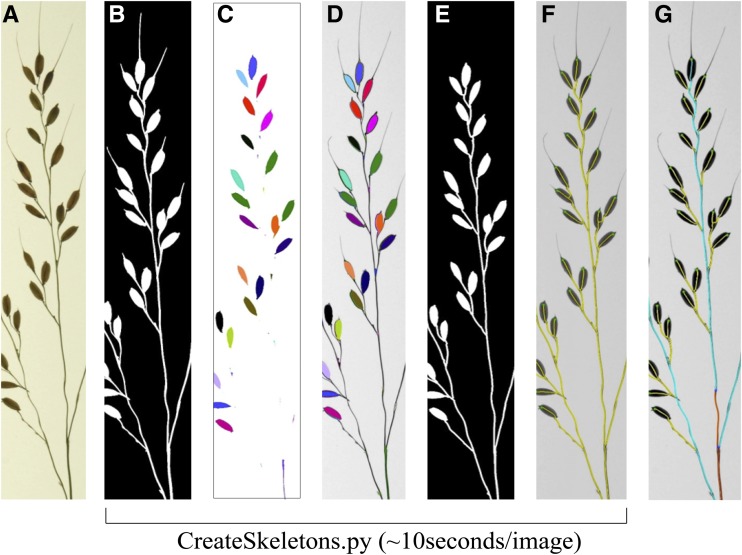 Figure 3.