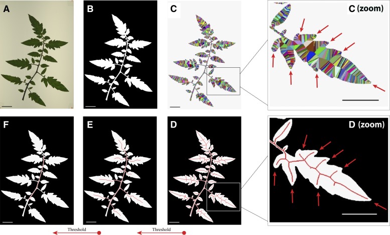 Figure 4.